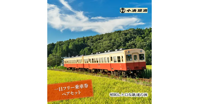 【ふるさと納税】一日フリー乗車券ペアセット　 体験チケット 乗車券 電車