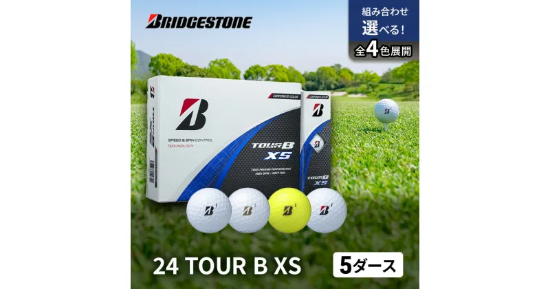 【ふるさと納税】ゴルフ 24 TOUR BXS　5ダース ゴルフボール ボール ブリヂストン ダース セット 　市原市