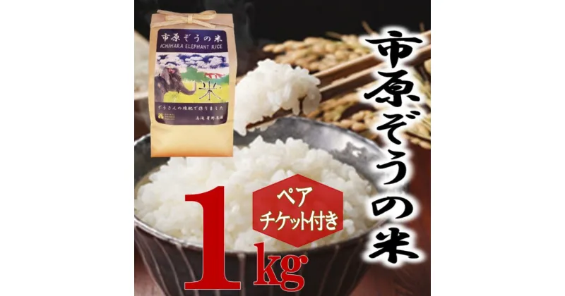 【ふるさと納税】動物園 市原ぞうの米 1kg+市原ぞうの国 ペアチケット ゾウ 象 動物 お米 白米 チケット 招待券 ショー ふれあい 千葉 　お届け：2024年9月下旬～2025年8月下旬