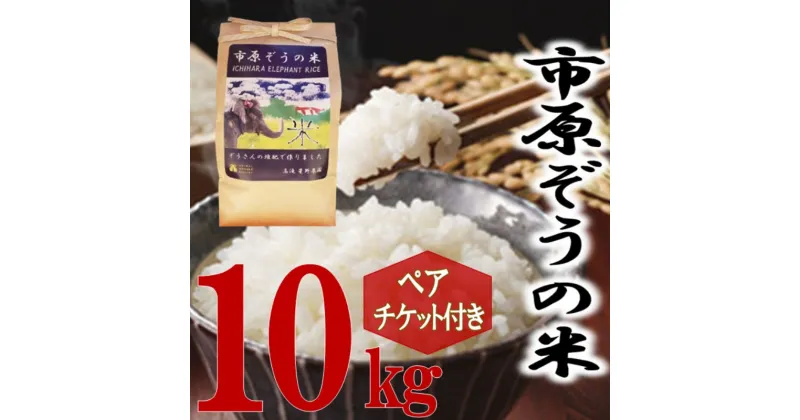 【ふるさと納税】動物園 市原ぞうの米 10kg+市原ぞうの国 ペアチケット ゾウ 象 動物 お米 白米 チケット 招待券 ショー ふれあい 千葉　お届け：2024年9月下旬～2025年8月下旬