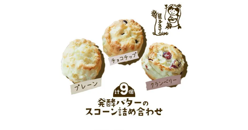 【ふるさと納税】スコーン 詰め合わせ 3種 9個 プレーン チョコチップ クランベリー 《30日以内に出荷予定(土日祝除く)》星子スコーン 千葉県 流山市 おやつ お中元 お菓子