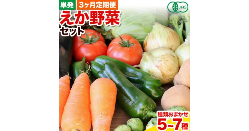 【ふるさと納税】えか野菜 おまかせ5～7種セット 有機JAS認定 株式会社えか自然農場 千葉県 流山市 オーガニック 無農薬 化学肥料不使用 旬 送料無料