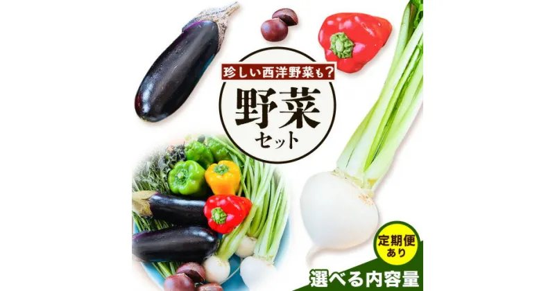 【ふるさと納税】野菜 農家直送 新鮮 野菜 セット 選べる 容量 6~13品 《60日以内に出荷予定(土日祝除く)》 森田農園 単発 定期便 あり 青果物 やさい 千葉県 流山市