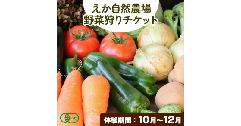 【ふるさと納税】野菜狩りチケット 10月-12月 株式会社えか自然農場《30日以内に出荷予定(土日祝除く)》収穫 体験 野菜 やさい チケット 流山市