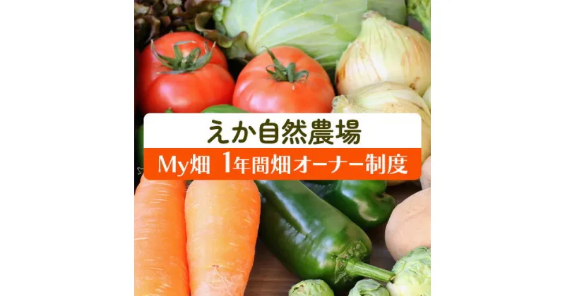 【ふるさと納税】MY畑 (1年間 畑オーナー制度) 株式会社えか自然農場《30日以内に出荷予定(土日祝除く)》千葉県 流山市 野菜 畑 やさい オーナー 流山市