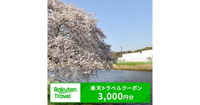 【ふるさと納税】千葉県八千代市の対象施設で使える楽天トラベルクーポン 寄付額10,000円