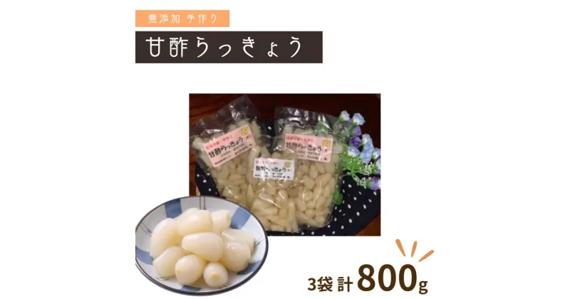 【ふるさと納税】らっきょう 漬物 手作り 甘酢らっきょう 320g × 2袋 160g × 1袋 セット 国産 甘酢 塩漬け 美味しい おすすめ 子供 お年寄り 年配 みんなの広場・風 福祉施設提供