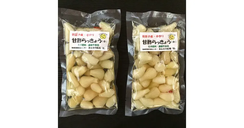 【ふるさと納税】らっきょう 漬物 手作り 甘酢らっきょう 160g × 2袋 セット 国産 甘酢 塩漬け 美味しい おすすめ 子供 お年寄り 年配 みんなの広場・風 福祉施設提供