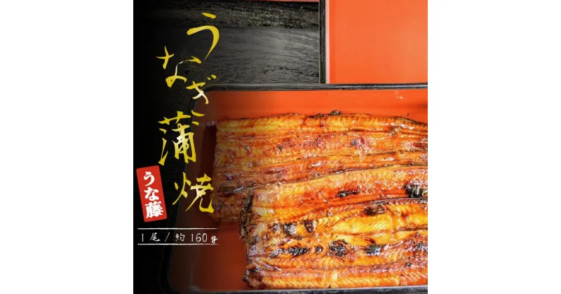 【ふるさと納税】うなぎ 国産 かば焼き 1尾 160g 丑の日 炭火焼 うな藤 ギフト 父の日 お取り寄せ 美味しい 日本 パック タレ 山椒 冷凍 真空パック 贈り物 誕生日 プレゼント 母の日 敬老の日 お祝い お年賀 贈答用 お返し おすすめ