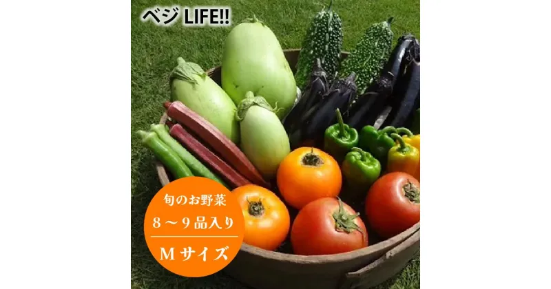 【ふるさと納税】野菜 旬の野菜 セット Mサイズ 約 8～9品 春 夏 秋 冬 宅配 おすすめ 美味しい 季節 旬 新鮮 お届け 栽培期間中 農薬不使用 ベジLIFE!!