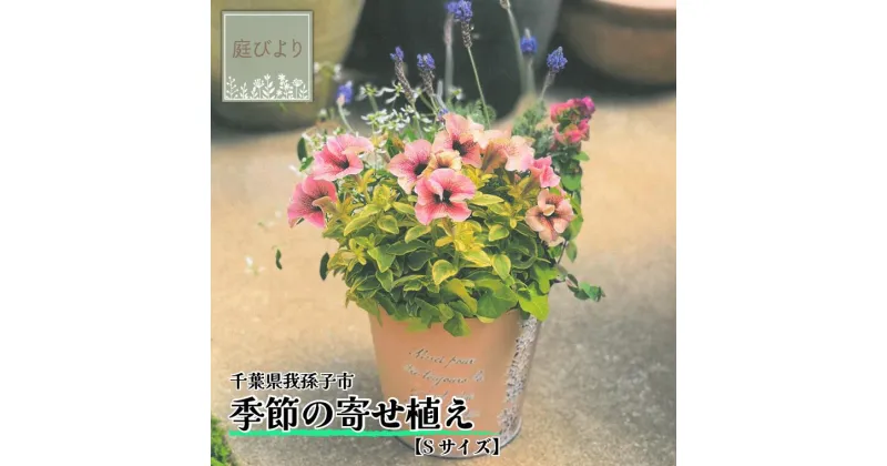 【ふるさと納税】花 鉢植え 季節の寄せ植え Sサイズ おすすめ 誕生日 プレゼント 母の日 父の日 敬老の日 植物 季節 寄せ植え 鉢 バスケット ギフト お祝い 贈り物 花苗 贈る 贈答用 お返し 庭びより 旬の花