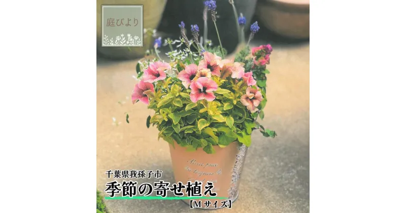 【ふるさと納税】花 鉢植え 季節の寄せ植え Mサイズ おすすめ 誕生日 プレゼント 母の日 父の日 敬老の日 植物 季節 寄せ植え 鉢 バスケット ギフト お祝い 贈り物 花苗 贈る 贈答用 お返し 庭びより 旬の花