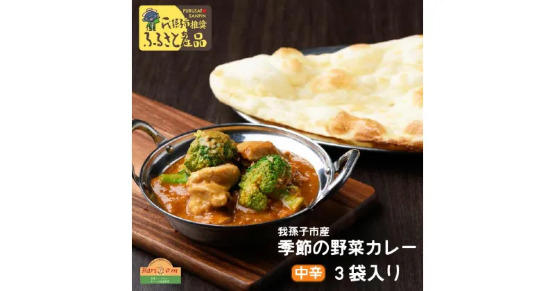 【ふるさと納税】カレー インドカレー インド料理 野菜カレー 季節 200g × 3パック 本格カレー 季節の野菜 スパイス ギフト セット 冷凍 手作り 美味しい 中辛 絶品 野菜 おすすめ 料理 本格 簡単 インド ほうれん草 ハリオン