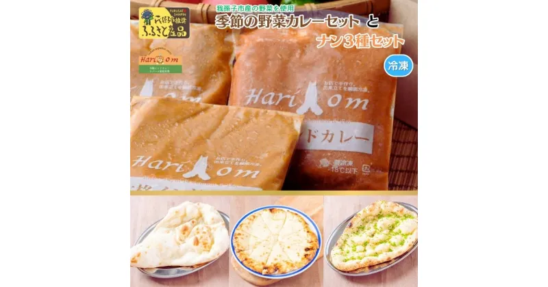 【ふるさと納税】カレー インドカレー ナン インド料理 野菜カレー 季節 200g × 3パック チーズナン ガーリックナン プレーンナン 3種類 3種 本格カレー 季節の野菜 スパイス ギフト セット 冷凍 手のばし 手作り 美味しい 中辛 絶品 野菜 おすすめ 料理 本格 簡単 インド