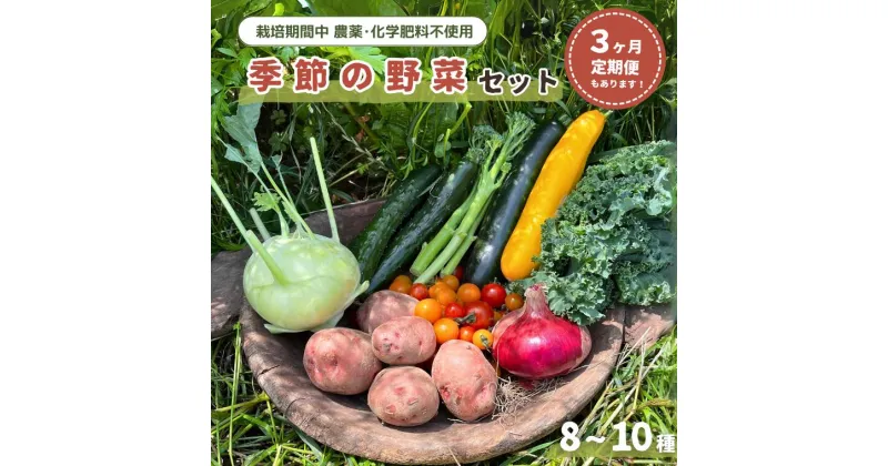 【ふるさと納税】野菜 季節の野菜 セット 8～10種 サツマイモ トマト じゃがいも かぼちゃ キャベツ 夏 秋 春 冬 旬 季節 セット 旬の野菜 産直 ケール 美味しい おすすめ ミニトマト 農家 定期便 取り寄せ 自然野菜のら 栽培期間中 農薬・化学肥料不使用