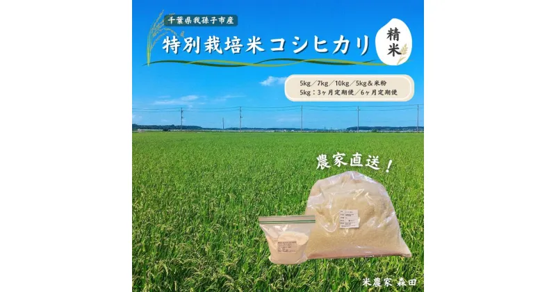 【ふるさと納税】【令和6年産 新米】米 特別栽培米 コシヒカリ 精米 米粉 セット 定期便 5kg 7kg 10kg 500g 直送 おすすめ 選べる 毎月 3ヶ月 6ヶ月 認定農業者 冷めても美味しい 農家直送 千葉県産 ちばエコ農産物 米農家 森田