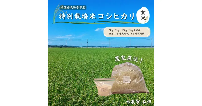 【ふるさと納税】【令和6年産 新米】米 特別栽培米 コシヒカリ 玄米 米粉 セット 定期便 5kg 7kg 10kg 500g おすすめ 直送 選べる 毎月 3ヶ月 6ヶ月 認定農業者 冷めても美味しい 農家直送 千葉県産 ちばエコ農産物 米農家 森田