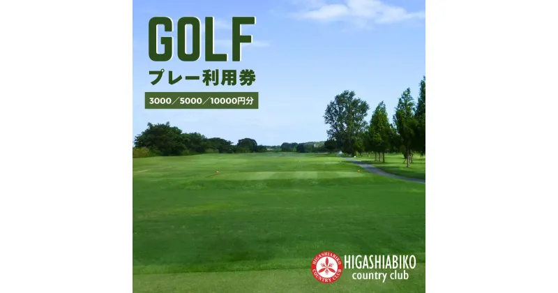 【ふるさと納税】ゴルフ 東我孫子カントリークラブ ゴルフプレー 利用券 3000円分 5000円分 10000円分 ゴルフ場 プレゼント 誕生日 母の日 父の日 敬老の日 千葉県 千葉 倶楽部 我孫子市 我孫子 シニア 女性 男性 贈り物 初心者 ギフト お祝い 記念日 ご褒美 感謝 おすすめ