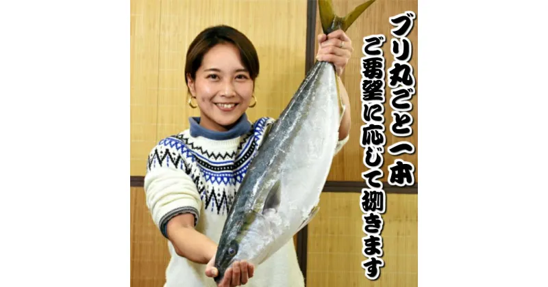 【ふるさと納税】［日時指定必須］いずみや鮮魚店のブリ丸ごと一本 [0050-0049]