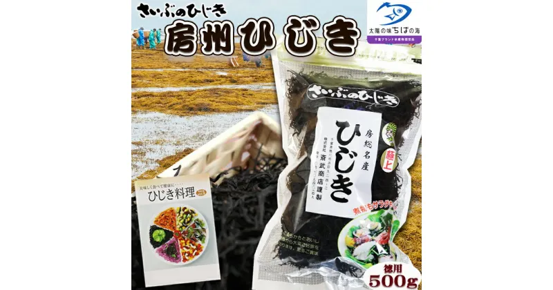 【ふるさと納税】【さいぶのひじき】房州ひじき500g！レシピ集付き♪ [0020-0042]