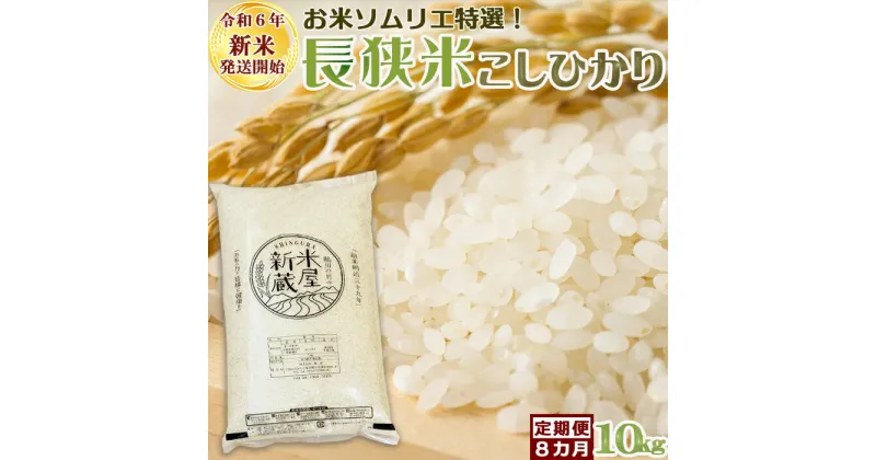 【ふるさと納税】《令和6年新米》【米屋新蔵の定期便】お米ソムリエ特選『長狭米コシヒカリ』10kg×8回　[0175-0002]