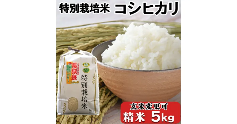 【ふるさと納税】【令和6年産】川名一将さんちの長狭米 特別栽培米コシヒカリ5kg ※精米・玄米選択可能 [0012-0065]