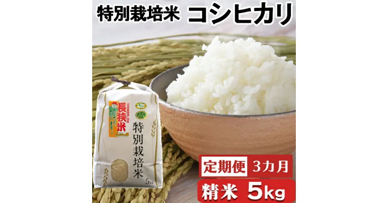 【ふるさと納税】【定期便】【令和6年産】川名一将さんちの長狭米 特別栽培米コシヒカリ5kg×3カ月 [0036-0006]