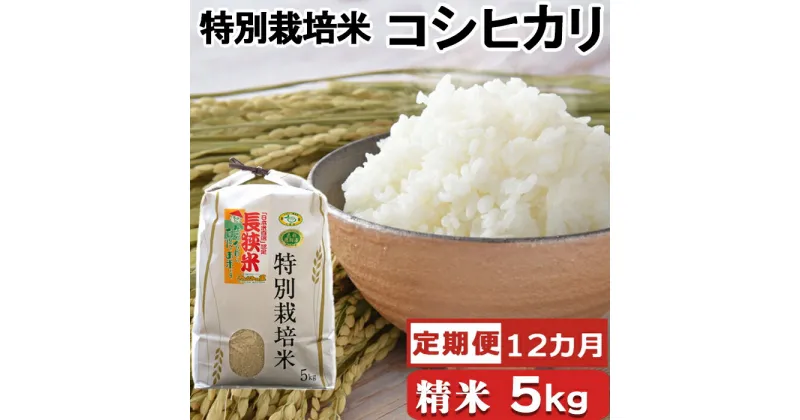 【ふるさと納税】【定期便】【令和5年産】川名一将さんちの長狭米 特別栽培米コシヒカリ5kg×12カ月 [0144-0001]