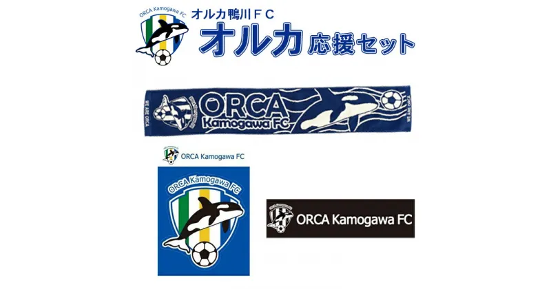 【ふるさと納税】【オルカ鴨川FC】スタジアムをブルーに！オルカ応援セット　[0012-0007]