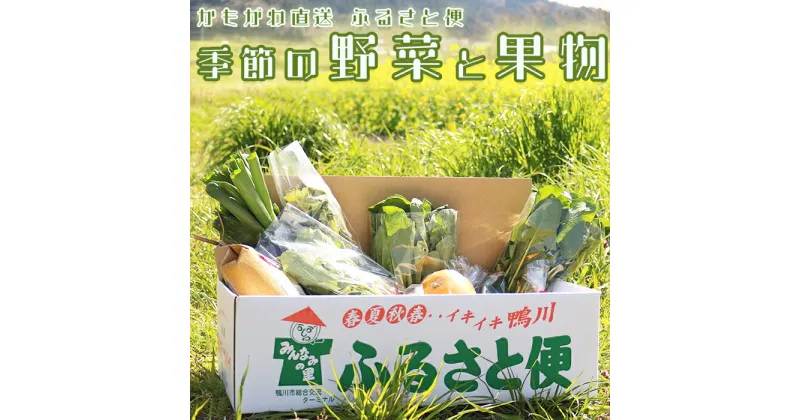 【ふるさと納税】【鴨川直送ふるさと便】季節の野菜＆果物詰合せ [0015-0043]