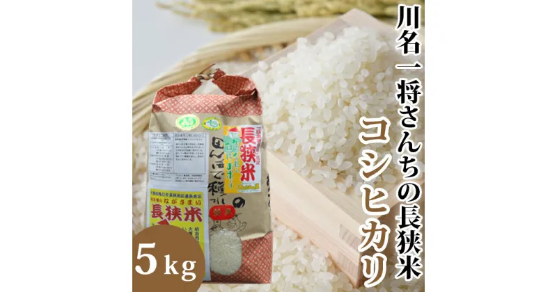 【ふるさと納税】【令和6年産】川名一将さんちの長狭米　コシヒカリ5kg ※精米・玄米選択可能 [0011-0063]