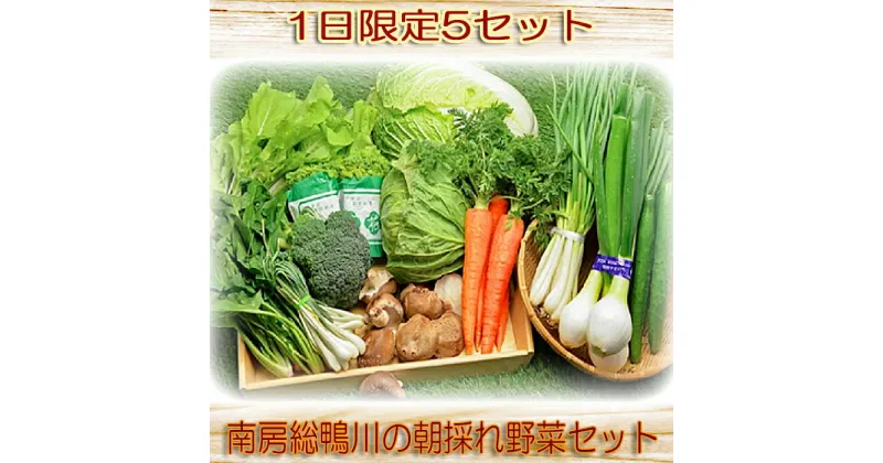 【ふるさと納税】【1日限定5セット】南房総鴨川の朝採れ野菜セット [0014-0027]