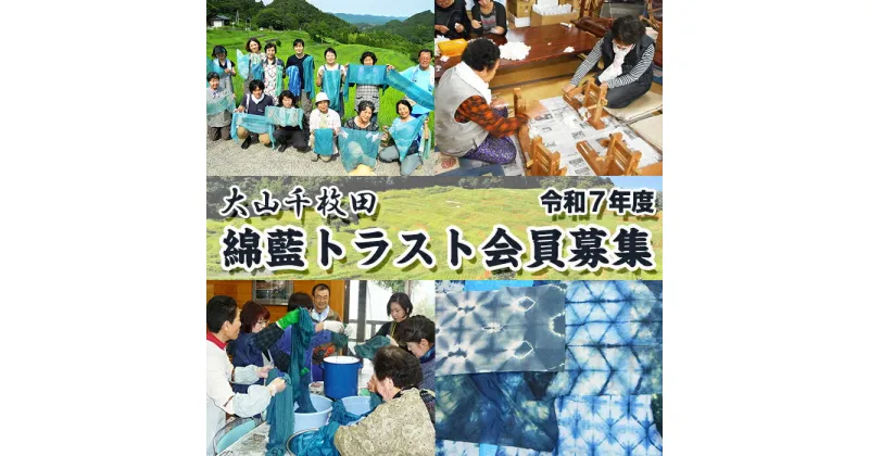 【ふるさと納税】【先着10組限定！】大山千枚田『綿藍(わたあい)トラスト制度』参加権利　[0050-0070]