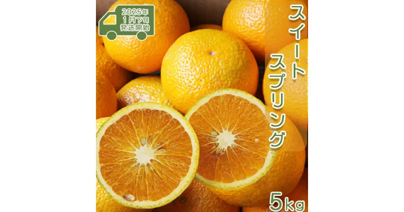 【ふるさと納税】【先行予約・数量限定】刈込園芸『鴨川スイートスプリング』 5kg（20～25個）　[0010-0210]