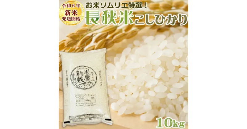 【ふるさと納税】《令和6年新米》【米屋新蔵】お米ソムリエ特選『長狭米コシヒカリ』10kg [0022-0007]