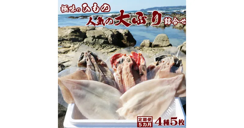 【ふるさと納税】【極味の定期便】特選！人気ひもの詰合せ 大ぶり3種＋いか一夜干し2枚 × 選べる5カ月　[0055-0004]