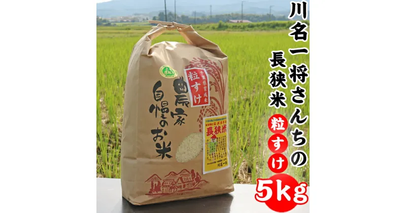 【ふるさと納税】【令和6年産】川名一将さんちの長狭米　長狭米『粒すけ』 5kg [0010-0305]