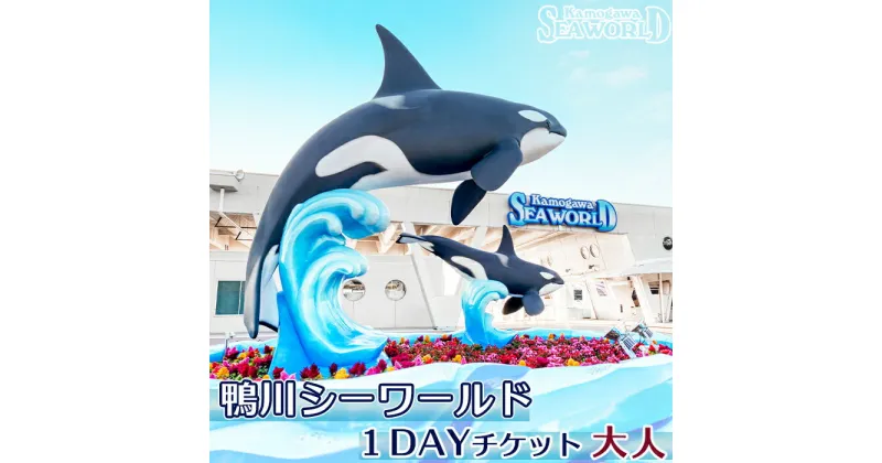 【ふるさと納税】鴨川シーワールド 1Dayチケット 大人（高校生以上）1枚　[0012-0060]