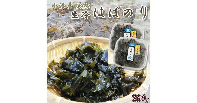 【ふるさと納税】【極味のひもの特製】房州小湊産 天然『生冷 はばのり』200g《数量限定》　[0010-0284]