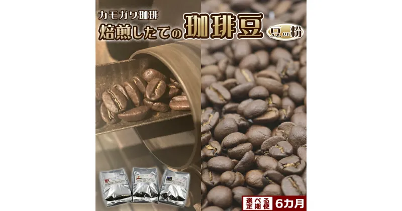 【ふるさと納税】【カモガワ珈琲の定期便】焙煎したての珈琲豆 170g×3種×6カ月　[0072-0002]