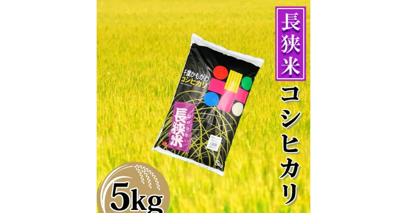 【ふるさと納税】【鴨川産】長狭米コシヒカリ 精米5kg [0011-0065]