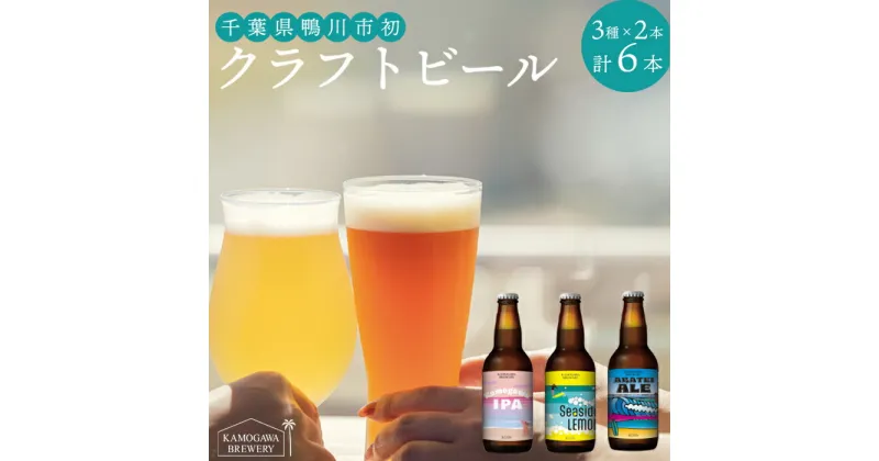 【ふるさと納税】【KAMOGAWA BREWERY】鴨川クラフトビール 3種6本　[0013-0023]