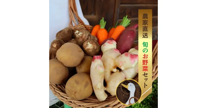 【ふるさと納税】【農家直送】アヒル農園の旬のお野菜セット