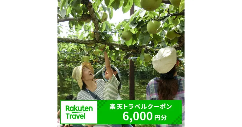 【ふるさと納税】千葉県鎌ケ谷市の対象施設で使える楽天トラベルクーポン 寄付額22,000円