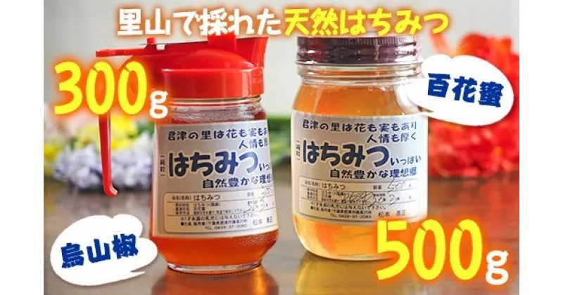 【ふるさと納税】【 レビューキャンペーン 】純国産 はちみつ 計2瓶 君津産 百花蜜 500g 1瓶 & 烏山椒 300g | ハニーディスペンサー入り 1瓶 無添加 送料無料 人気の直売所 農事組合法人なごみの里君津 君津市 きみつ 千葉県