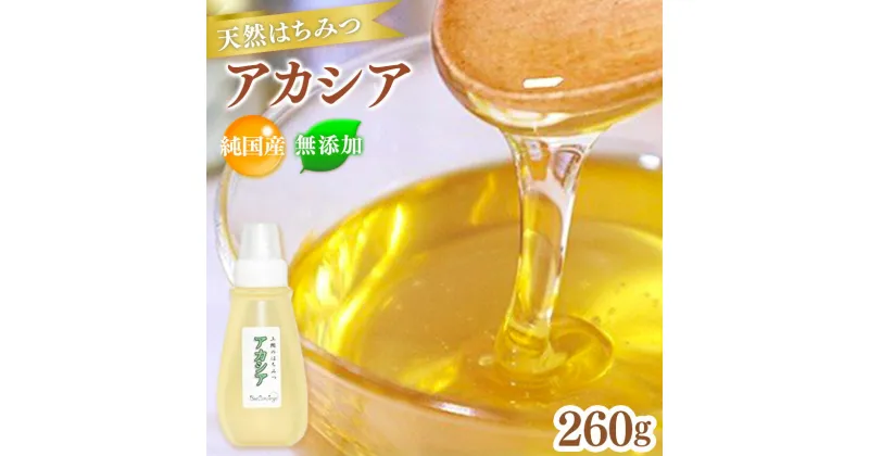 【ふるさと納税】【 レビューキャンペーン 】純国産 国産 無添加 Bee concierge 「 アカシア はちみつ 」260g 1個 | プラスチックチューブ入り 送料無料 ビーコンシェルジュ 斉藤兄弟 単花はちみつ専門 君津市 きみつ 千葉県