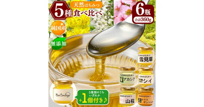 【ふるさと納税】純国産 国産 無添加 Bee concierge はちみつ 5種 食べ比べセット 60g 6瓶 | アカシア 雪見草 カラスザンショウ 山桜 どんぐり ［ シイ ］）各60g × 1個 （5種類のうちいずれか1つ）送料無料 ビーコンシェルジュ 単花はちみつ専門 君津市 きみつ 千葉