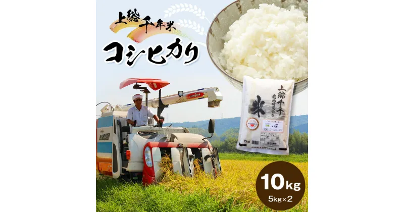 【ふるさと納税】米上総千年米 コシヒカリ 10kg 令和6年産 | 送料無料 お米のソムリエ が 厳選 白米 精米 粒立ちが大きく 甘みもあり 粘り強い お米と雑穀の専門店 石川商店 君津 きみつ 千葉