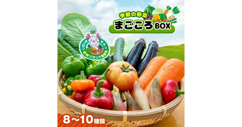 【ふるさと納税】季節の野菜 旬の採れたて野菜 8～10種類 まごころBOX | 送料無料 人気の直売所 新鮮野菜 人気の直売所 直送 JA きみつ 味楽囲（みらい）さだもと店 冷蔵 君津市 きみつ 千葉県