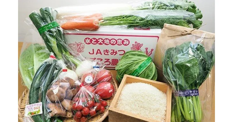 【ふるさと納税】【新米】君津市産 季節 の 野菜 8〜10種類 まごころBOX 冷蔵 & 令和6年産 コシヒカリ 精米 3kg | 送料無料 人気の直売所 JAきみつ味楽囲（みらい）さだもと店 君津市 きみつ 千葉県